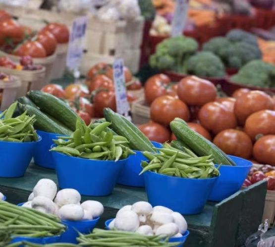 লিওনার্দো দা ভিঞ্চি: বহুমাত্রিক প্রতিভা