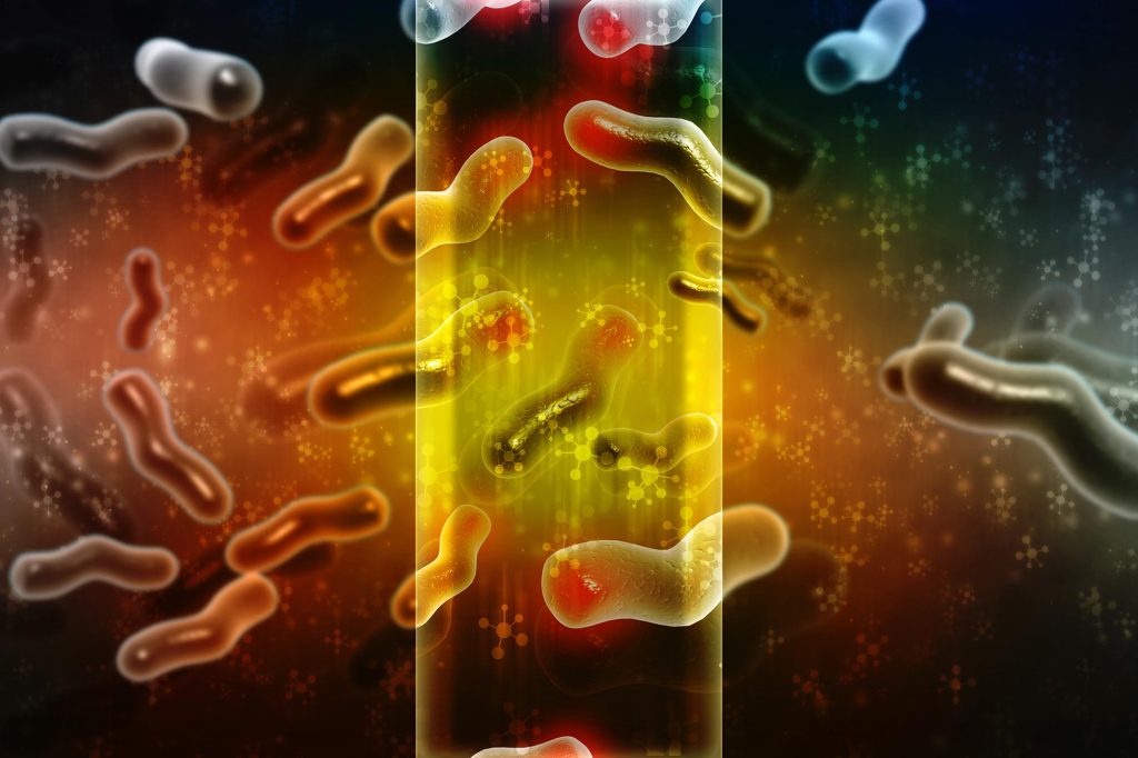 মস্তিষ্ক কিভাবে স্মৃতি বাছাই করে? 