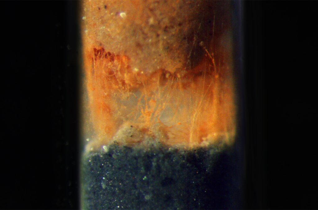 কাদা-মাটির বৈদ্যুতিক বিপ্লব