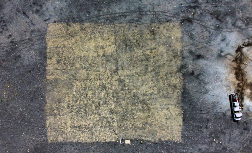 পোল্যান্ডে বর্জ্য-পাহাড় এখন তৃণভূমি 