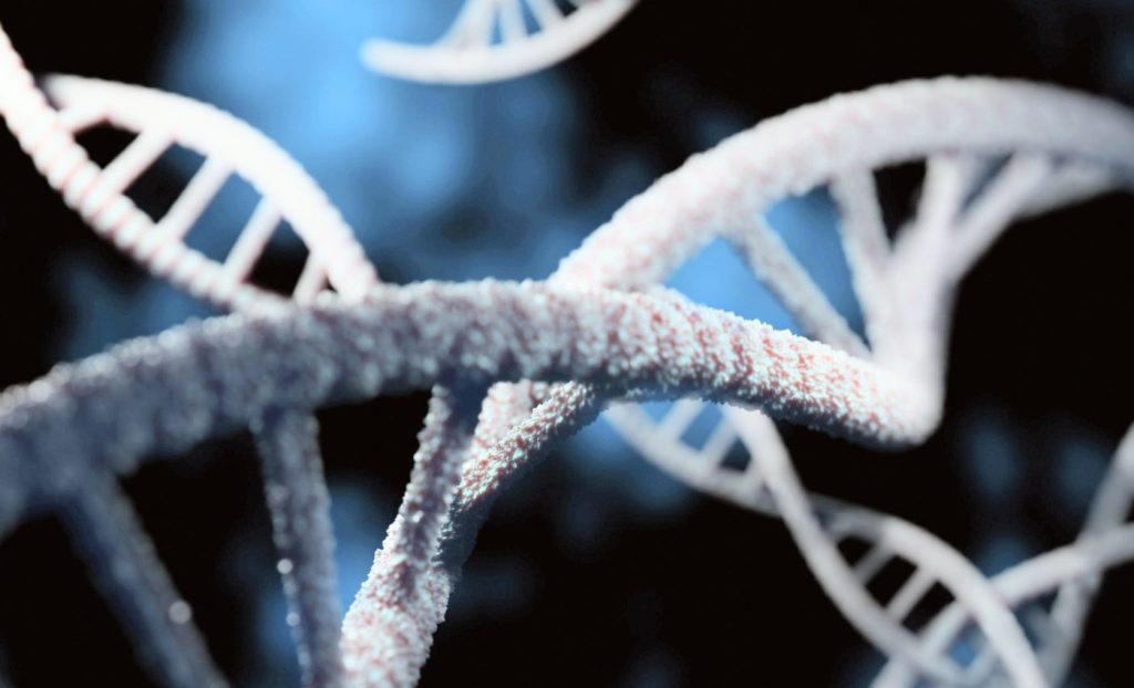 অস্থির অভিবাসী নিয়ান্ডারথাল  