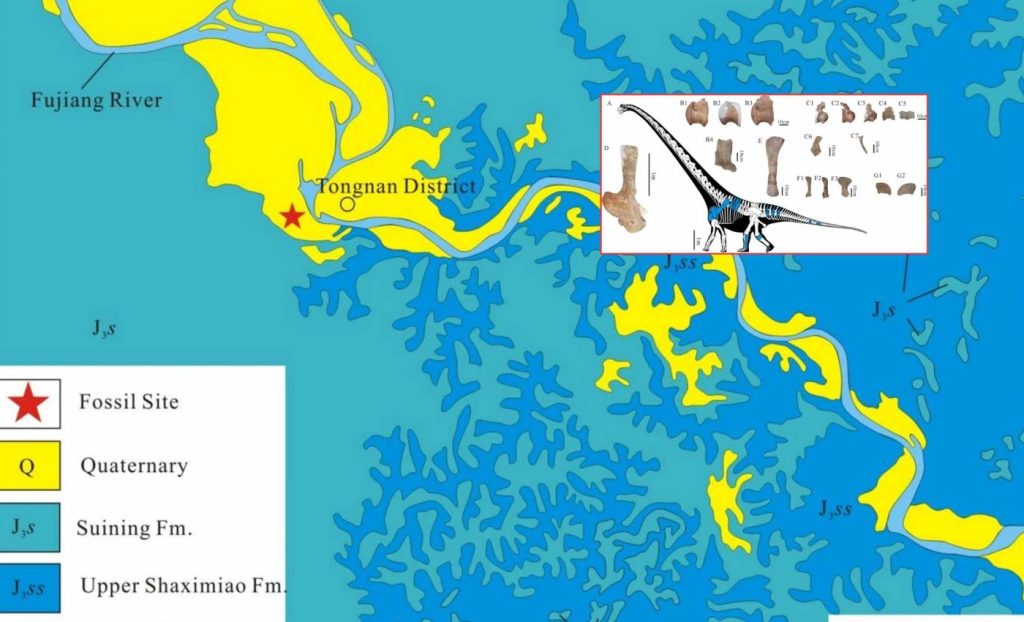 জুরাসিক যুগের দৈত্য