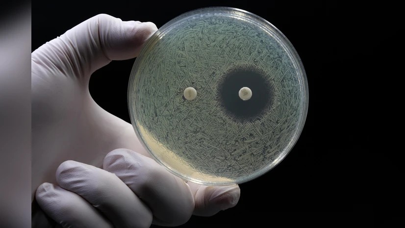 সুপারবাগের শীর্ষ ঝুঁকিতে ভারত