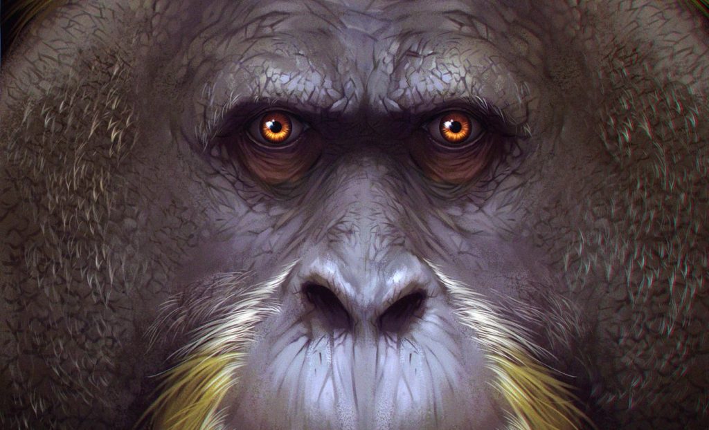 দানব বনমানুষের বিলুপ্তি রহস্য 