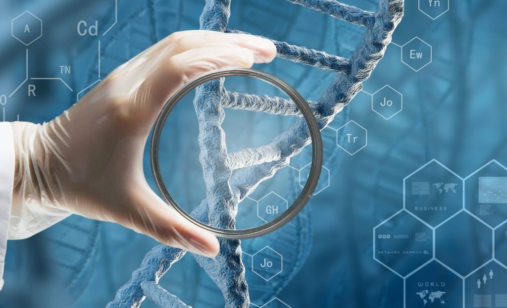 দীর্ঘজীবন মানেই ধীর বার্ধক্য নয়  