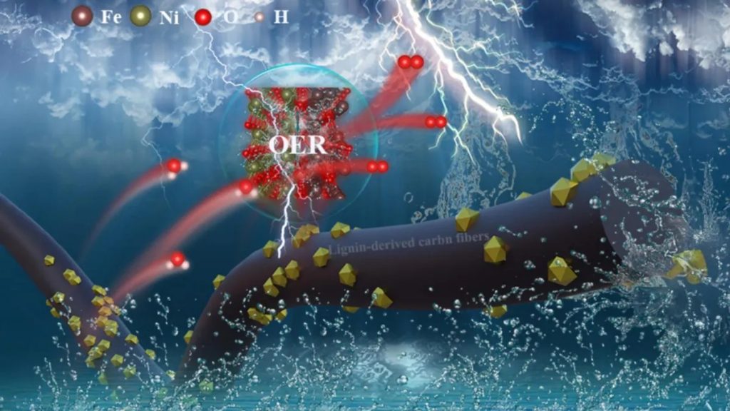  লিগনিন থেকে পরিচ্ছন্ন জ্বালানি উৎপাদন