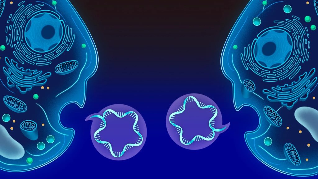 শুকনো চোখের চিকিৎসায় নতুন দিশা