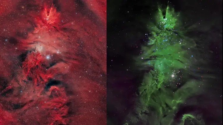 মহাজাগতিক ক্রিসমাস ট্রি  