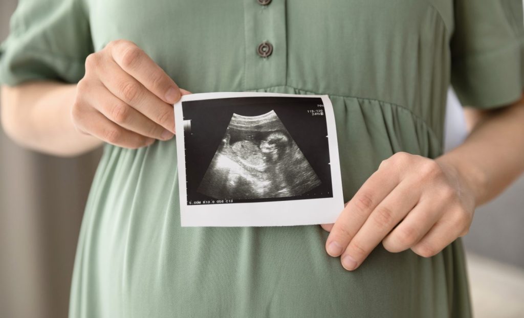 ভ্রূণ-জরায়ু নীরব সংলাপ