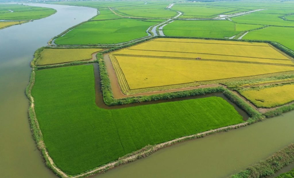 নাইট্রেট দূষণের বহুমাত্রিক অভিঘাত