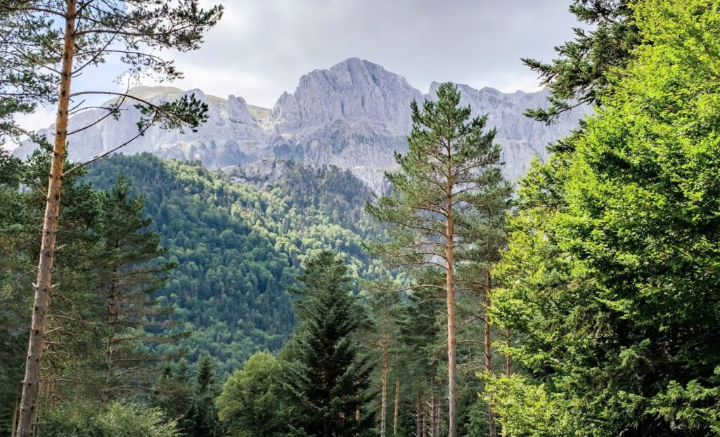 বাস্তুতন্ত্রের স্থিতিশীলতাও ক্ষয়ের লক্ষণ 