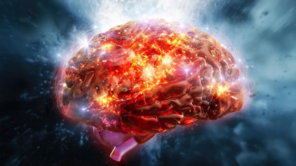 কষা স্বাদ মস্তিষ্ককে জাগায় 