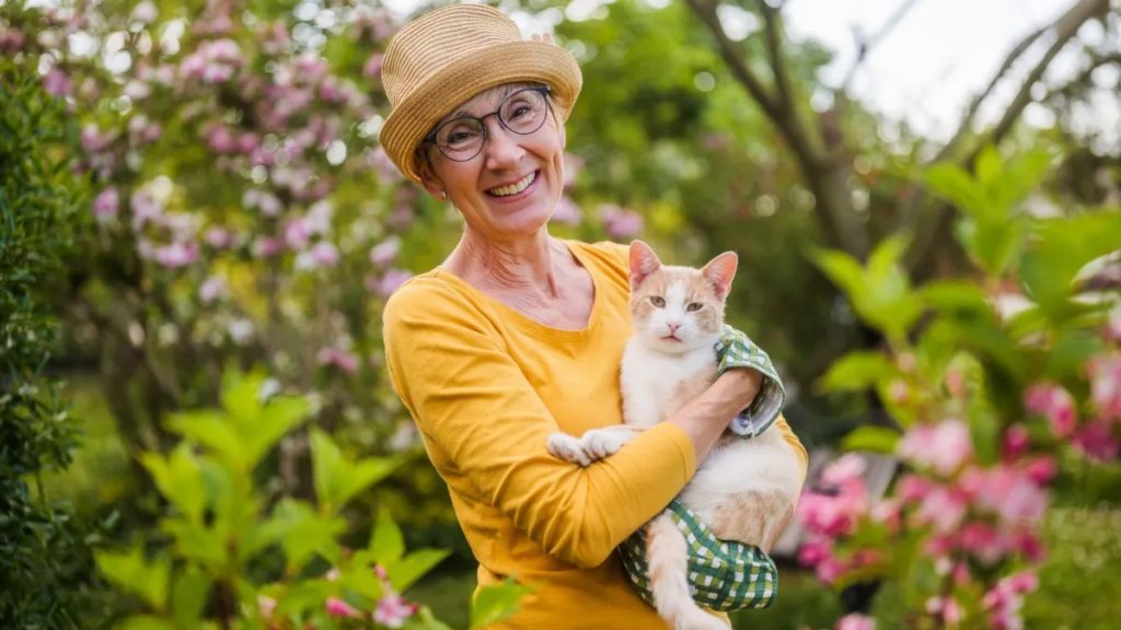 মানুষ, বিড়াল, এক জিন এক রোগ 