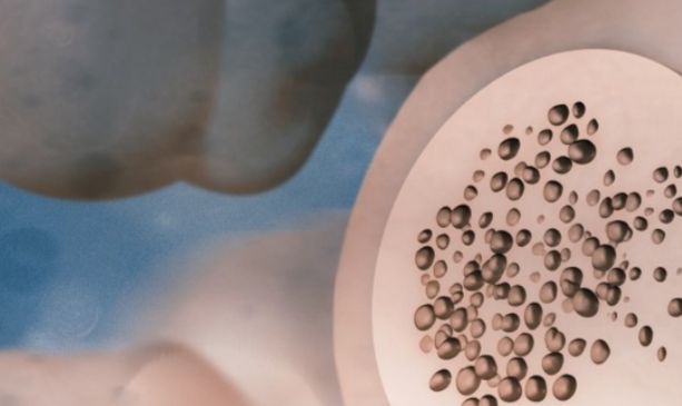 ন্যানোপ্লাস্টিক ধরবে ন্যানোবট