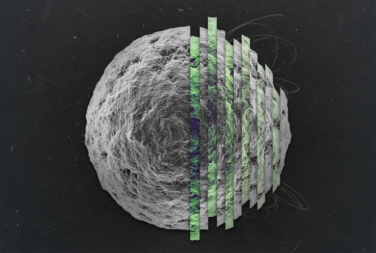 স্বার্থপর জিন ও জীবনের গোপন সমঝোতা 