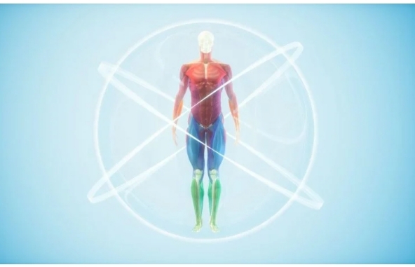 সকলেই সমান দীর্ঘায়ু? 