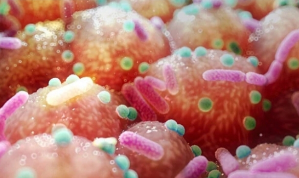 পার্কিনসন রোগ ও ভিটামিন-বি