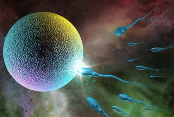 সুকৌশলে শুক্রাণু প্রত্যাখ্যান 