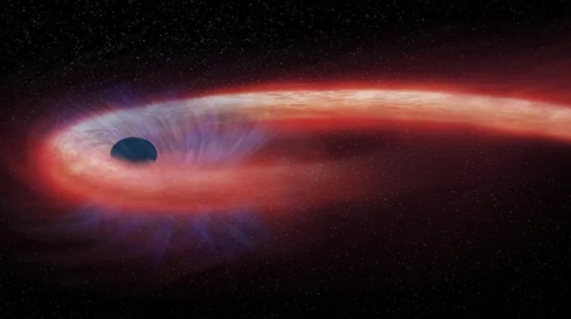 খাদ্যাভাবে ধুঁকছে কৃষ্ণগহ্বরেরা