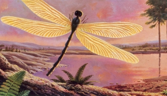 বিশাল পোকামাকড়গুলি হারিয়ে গেল কেন?  