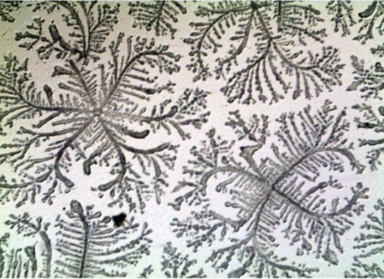 ডিম্বস্ফোটন কালের বিচিত্র নকশা 