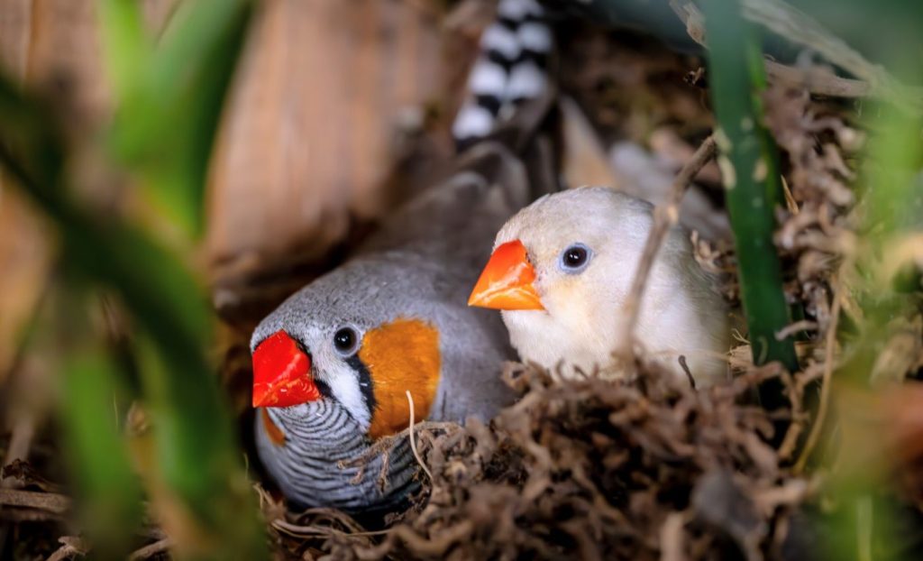 জন্মের আগেই তাপ-সতর্কবার্তা 