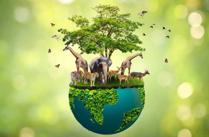 জীববৈচিত্র্য, জলবায়ু সুরক্ষা ও ‘নোঙর প্রজাতি ‘ পরিকল্পনা  